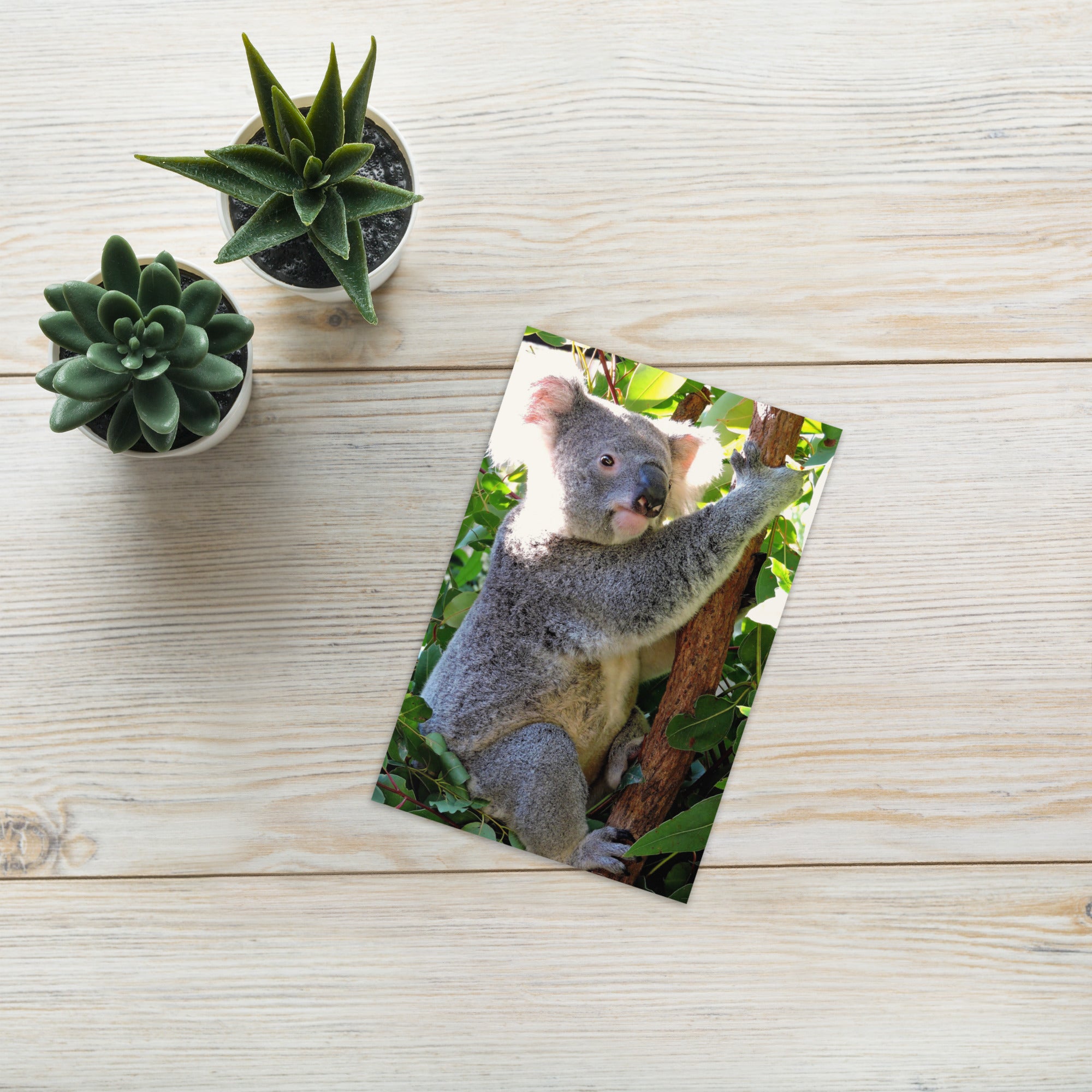 Coen Koala Greeting Card