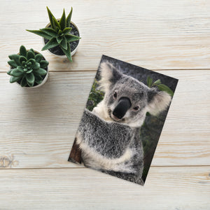 Yanni Koala Greeting Card