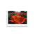 Poppy Popping Premium Lustre Photo Paper Poster