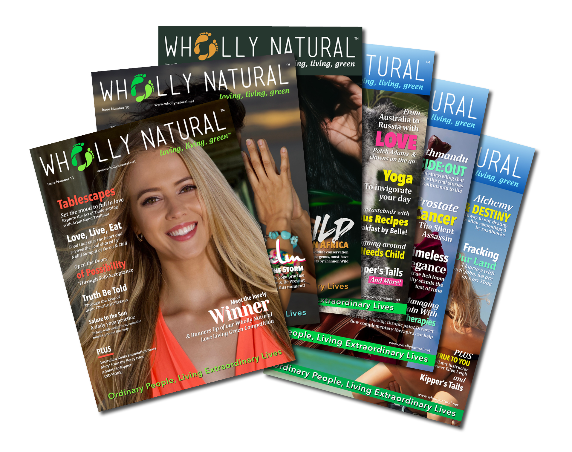 Covers of issues 6 – 11 of Wholly Natural Magazine™